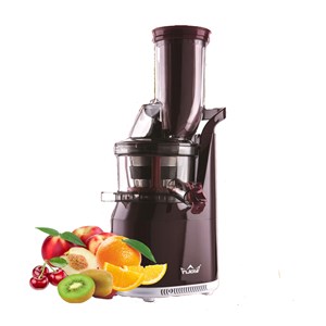 Máy ép chậm Slow Juicer 