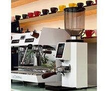 Máy xay cà phê ZF 83